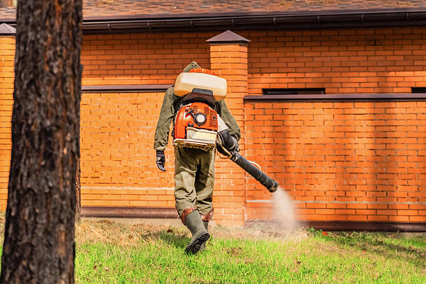 Trusted Emergency Pest Control service in Independence, OH - Nex Pest Control
